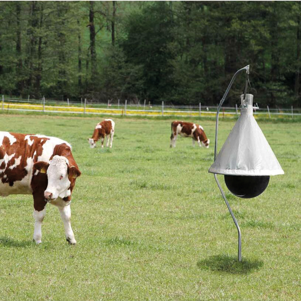 Pasture fly trap for cattle and livestock farms